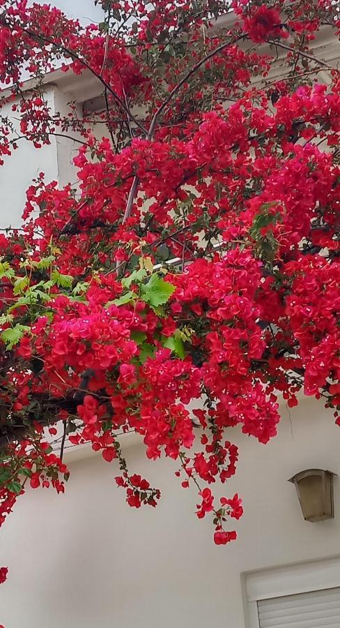 Stamatias Home, Fully Equipped Cottage 5 Minutes From The Sea Khania Eksteriør bilde